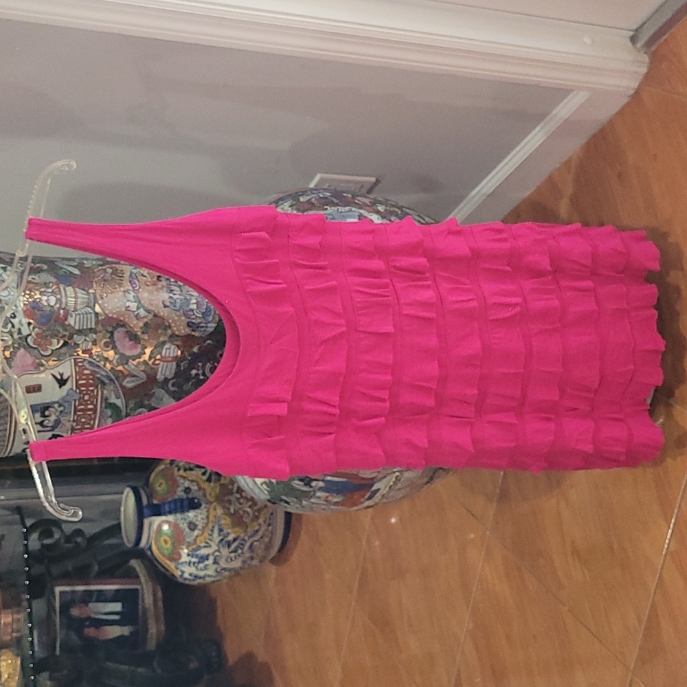 Express Beautiful Pink Dress